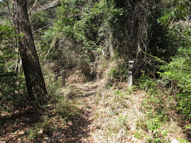 t07_043.jpg