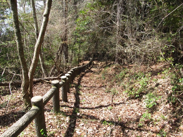 t07_044.jpg