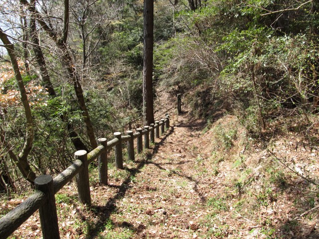 t07_045.jpg