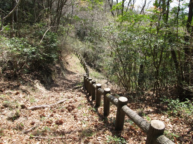 t07_046.jpg
