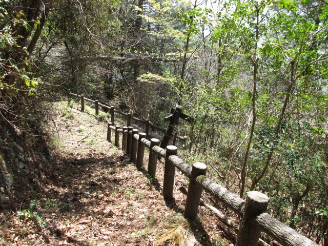 t07_049.jpg