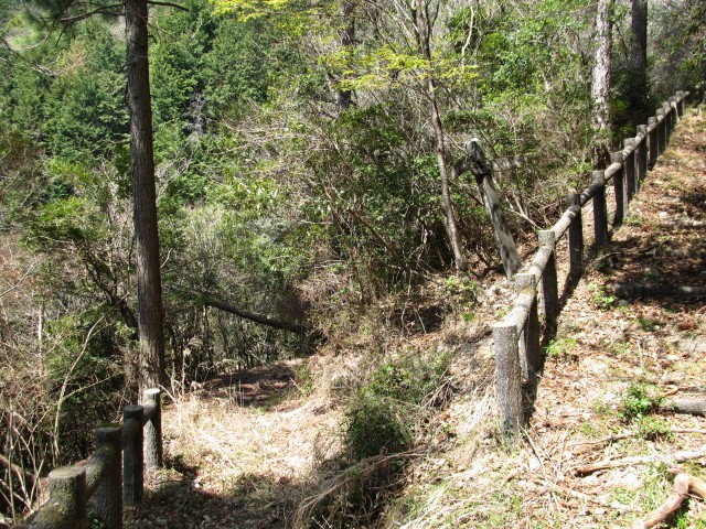 t07_050.jpg