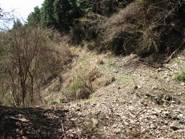 t07_051.jpg