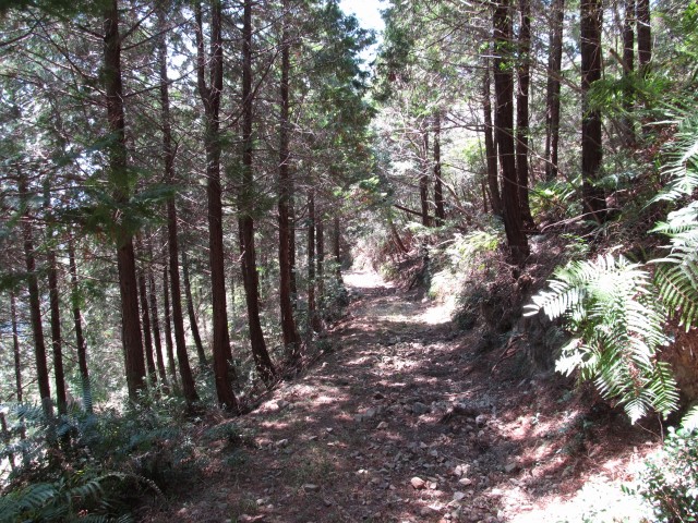 t07_053.jpg