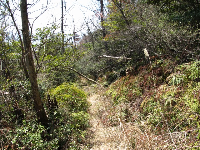 t07_054.jpg