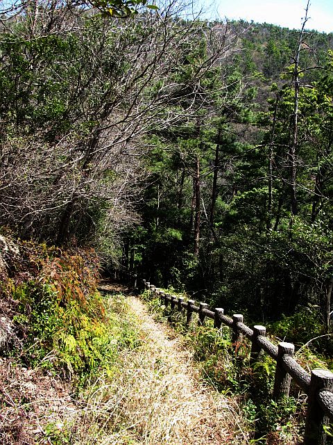 t07_055.jpg