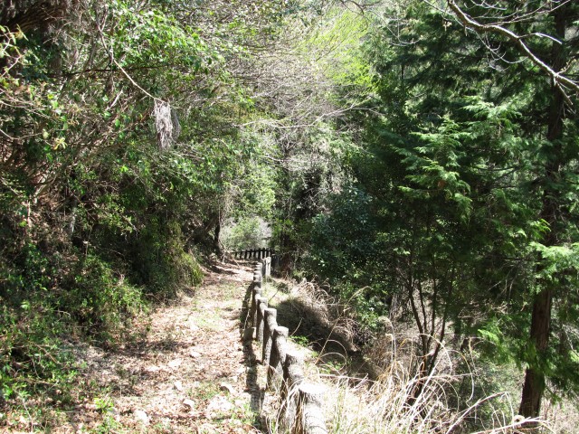 t07_056.jpg
