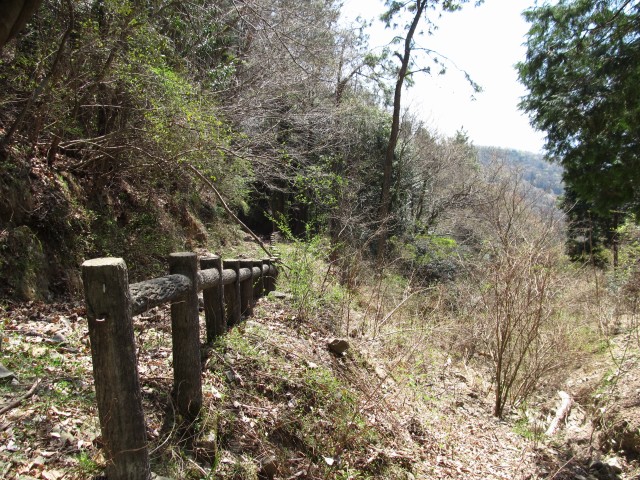 t07_058.jpg