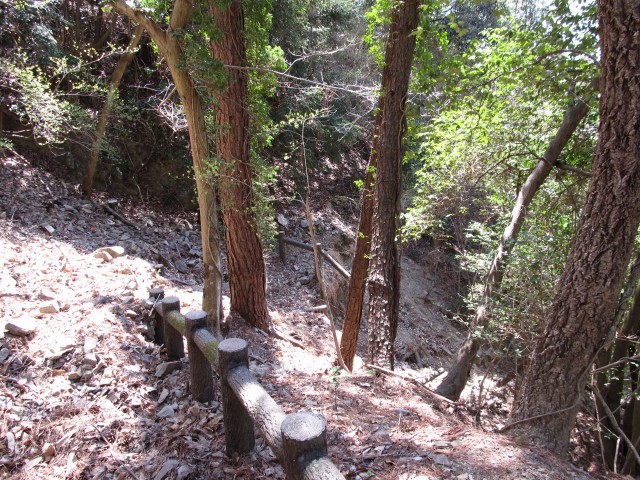 t07_059.jpg