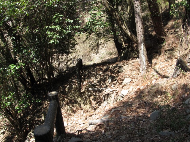 t07_060.jpg