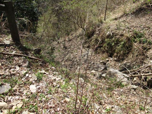 t07_061.jpg