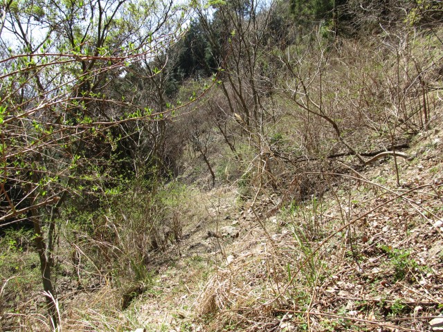 t07_062.jpg