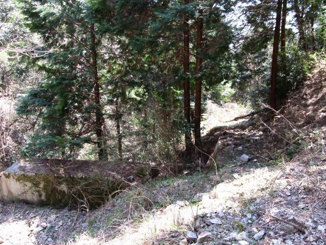 t07_063.jpg
