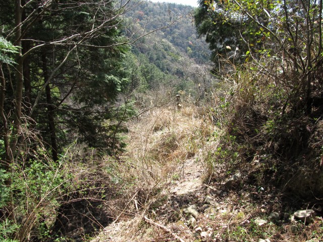 t07_064.jpg