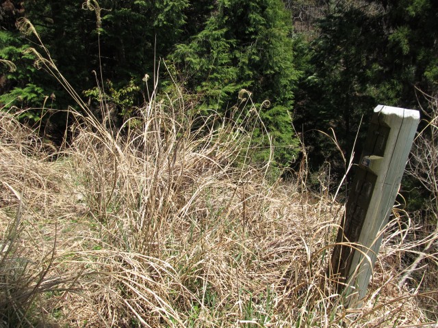 t07_065.jpg