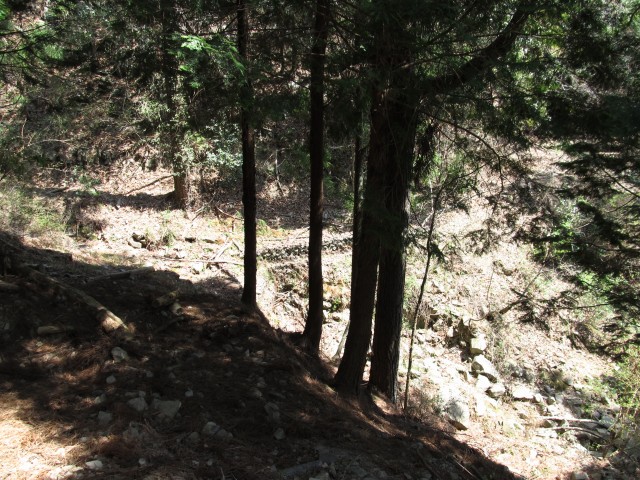 t07_066.jpg