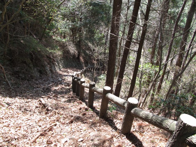 t07_068.jpg