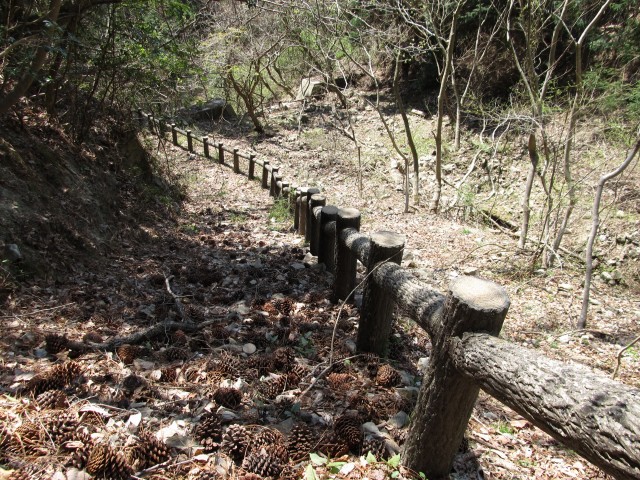 t07_069.jpg