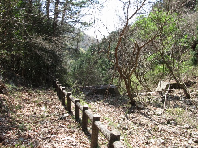 t07_070.jpg