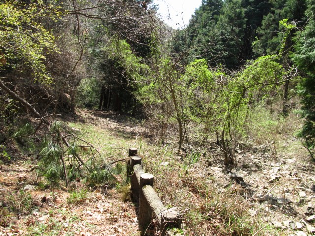 t07_071.jpg