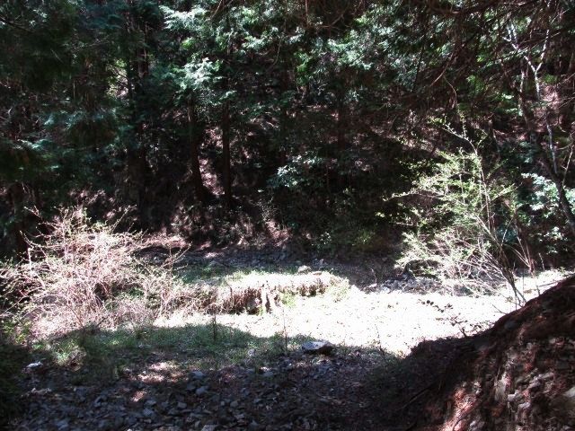 t07_072.jpg