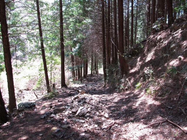 t07_073.jpg