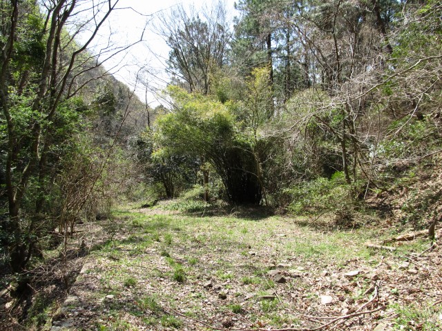 t07_075.jpg