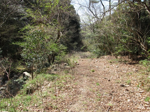 t07_076.jpg