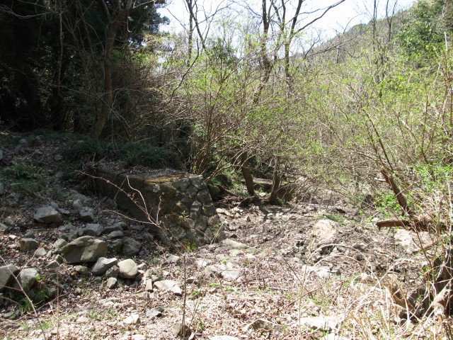 t07_077.jpg