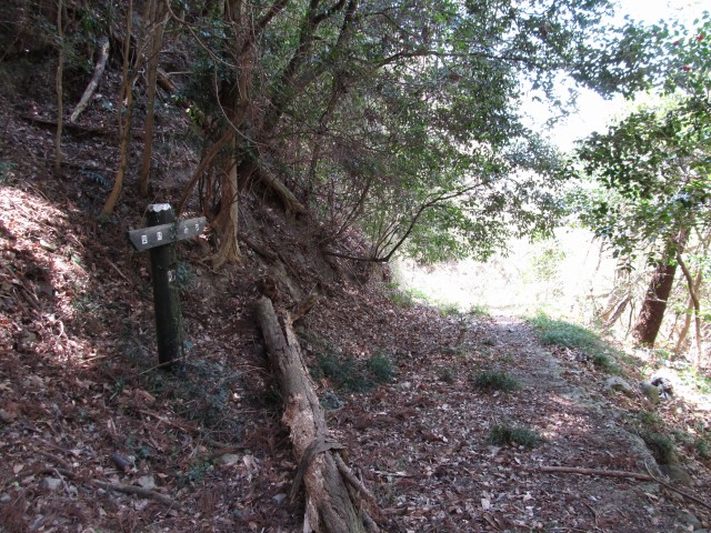 t07_078.jpg