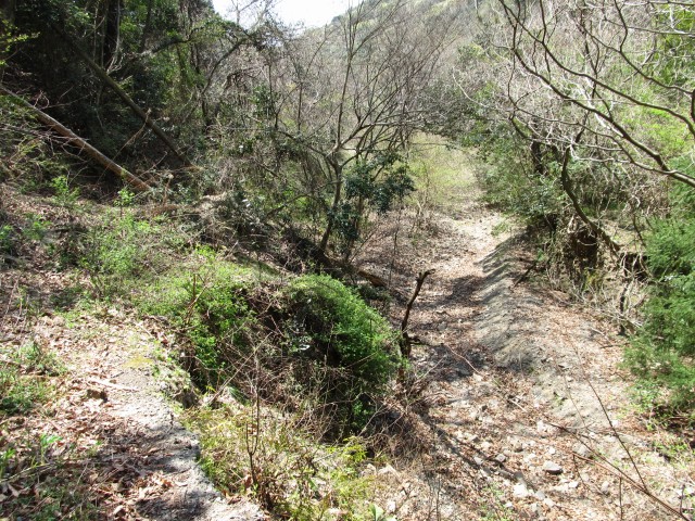 t07_079.jpg