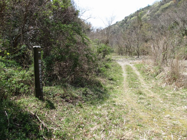 t07_080.jpg