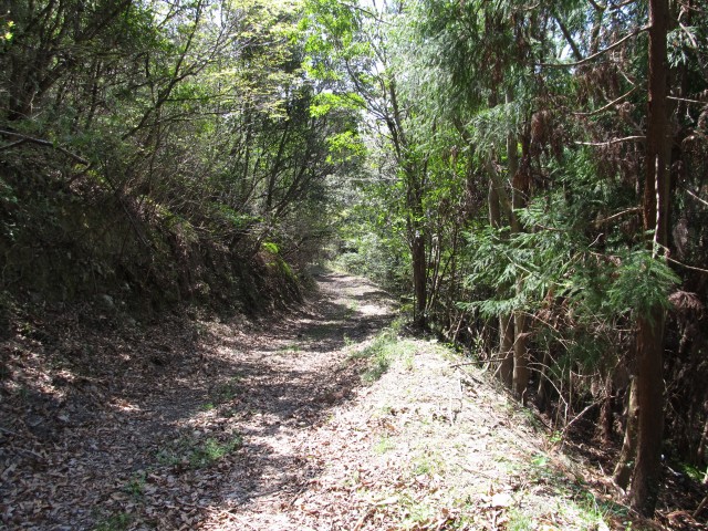 t07_082.jpg