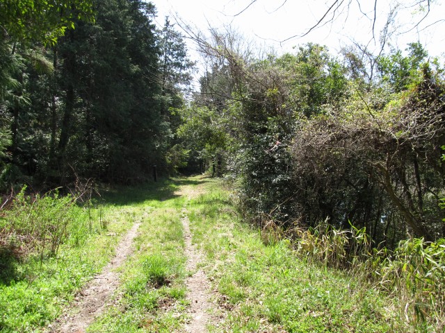 t07_083.jpg