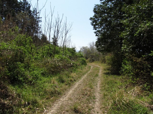 t07_084.jpg