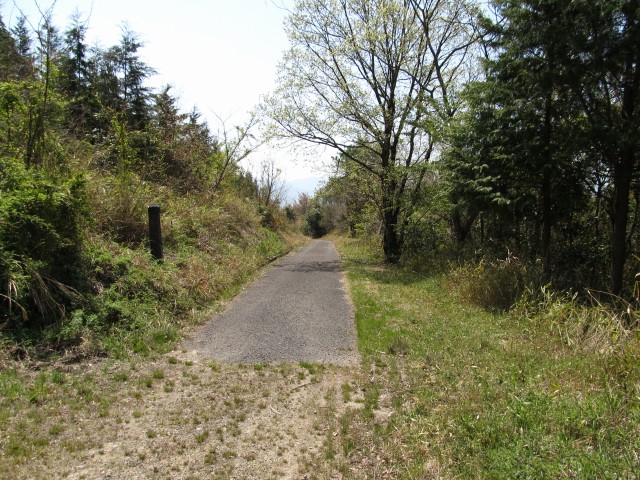 t07_085.jpg