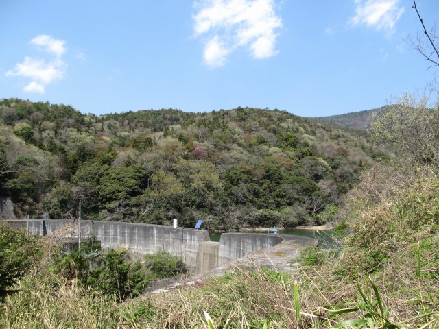 t07_086.jpg