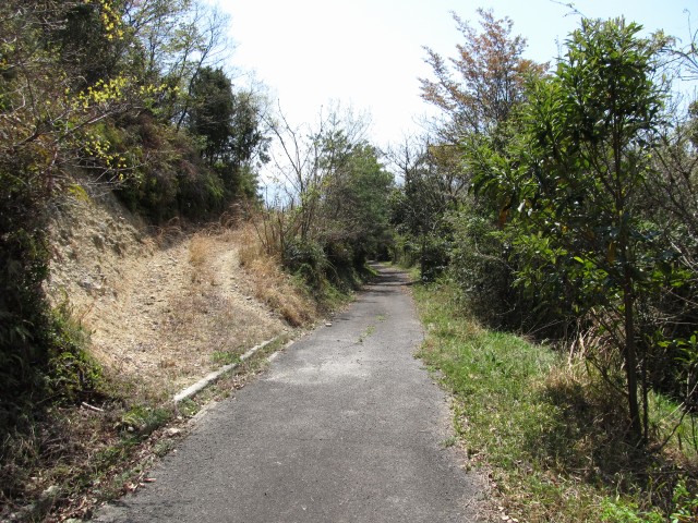 t07_087.jpg