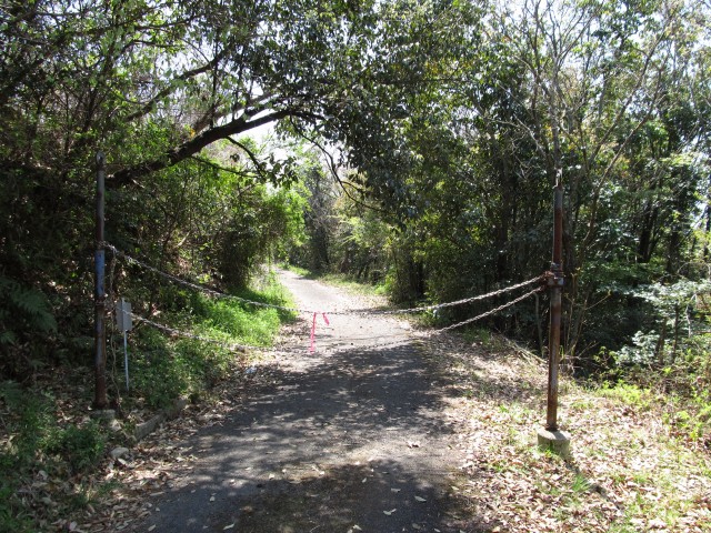 t07_088.jpg