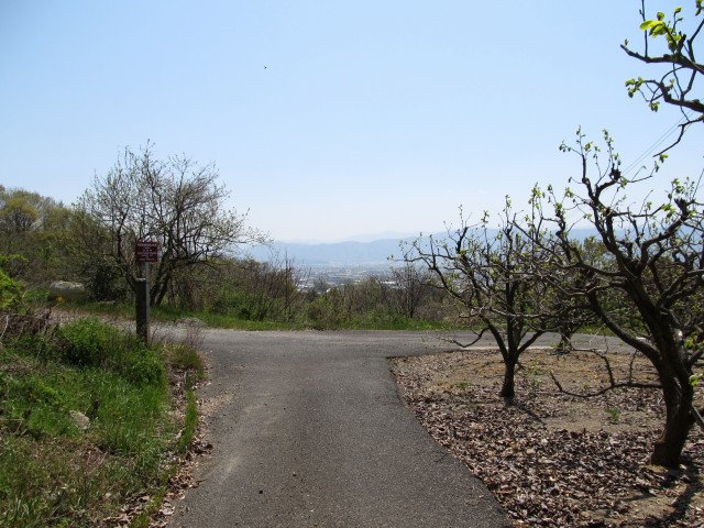 t07_090.jpg