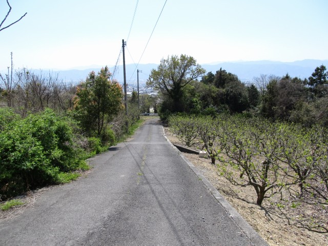 t07_091.jpg
