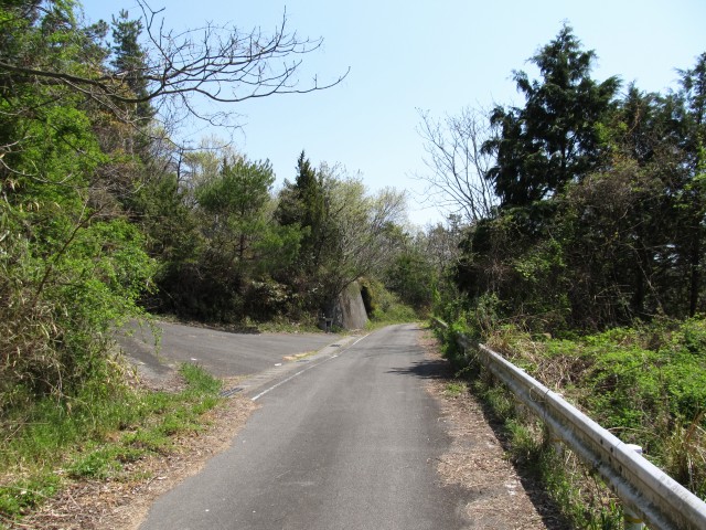 t07_093.jpg