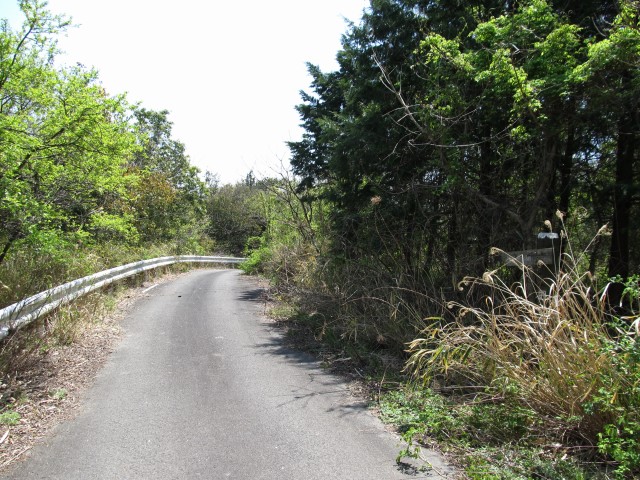 t07_096.jpg