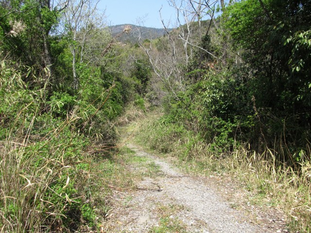 t07_097.jpg