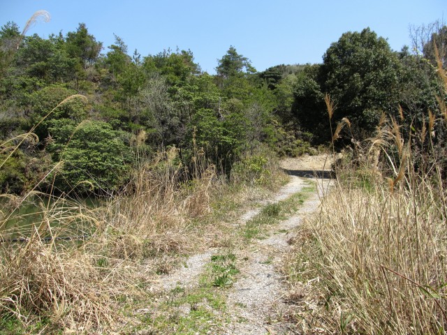 t07_098.jpg
