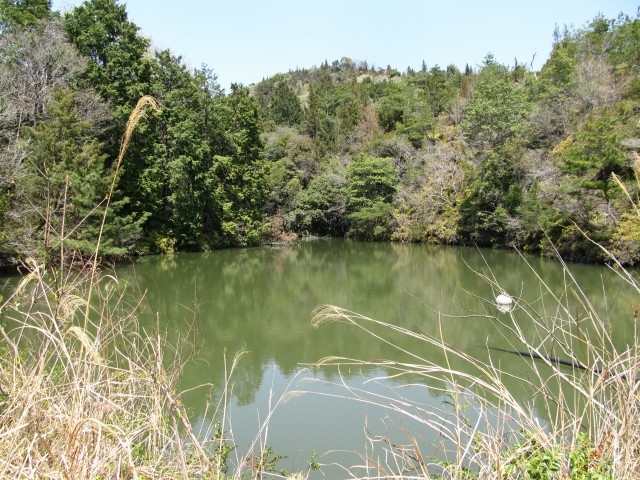 t07_099.jpg