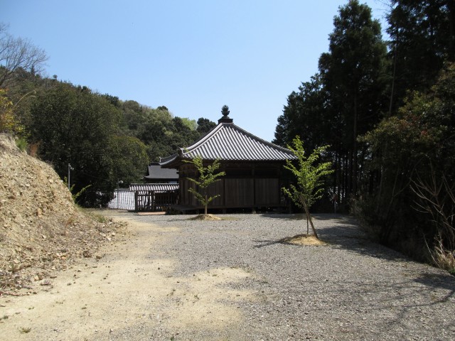 t07_100.jpg