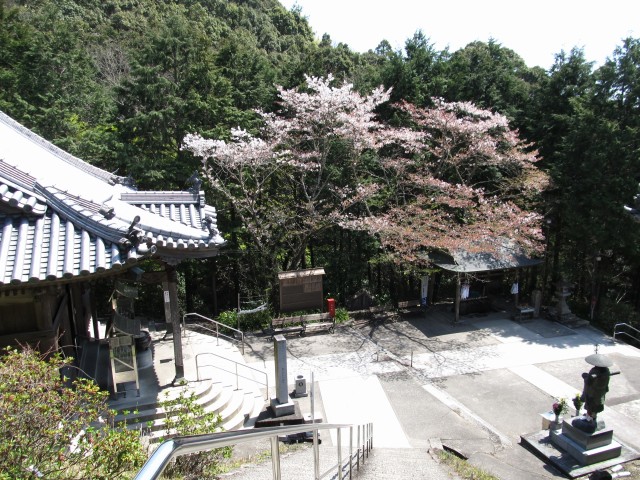 t07_102.jpg