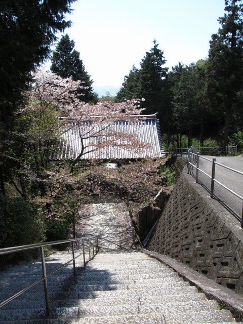 t07_104.jpg