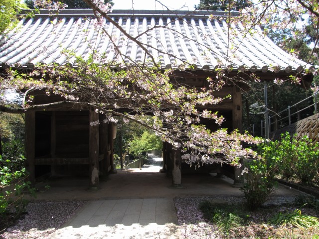 t07_105.jpg